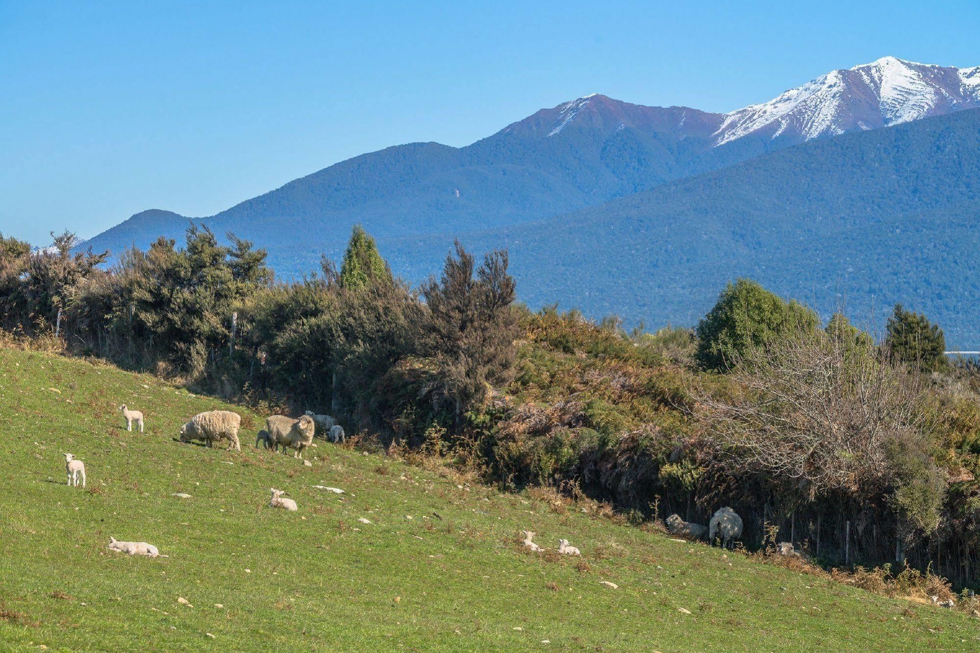 Loch Vista Bed & Breakfast Te Anau Exterior foto